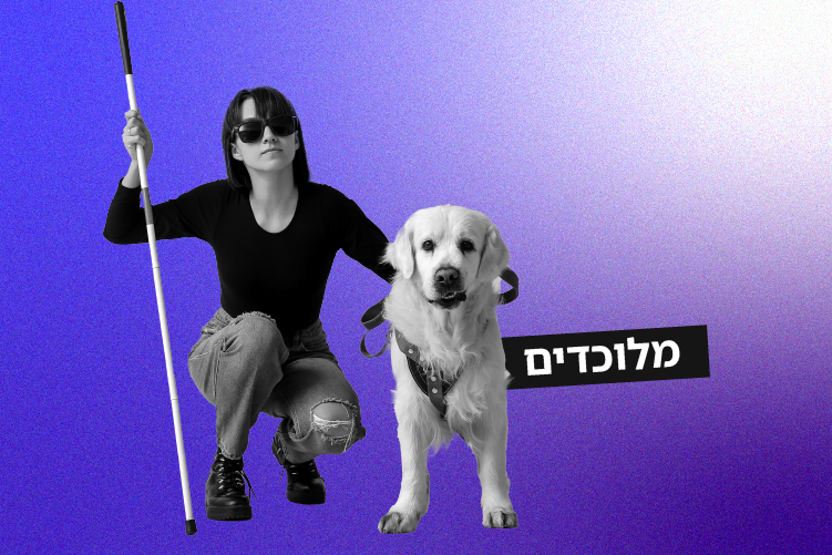 מלוכדים