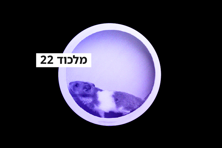 מלכוד 22