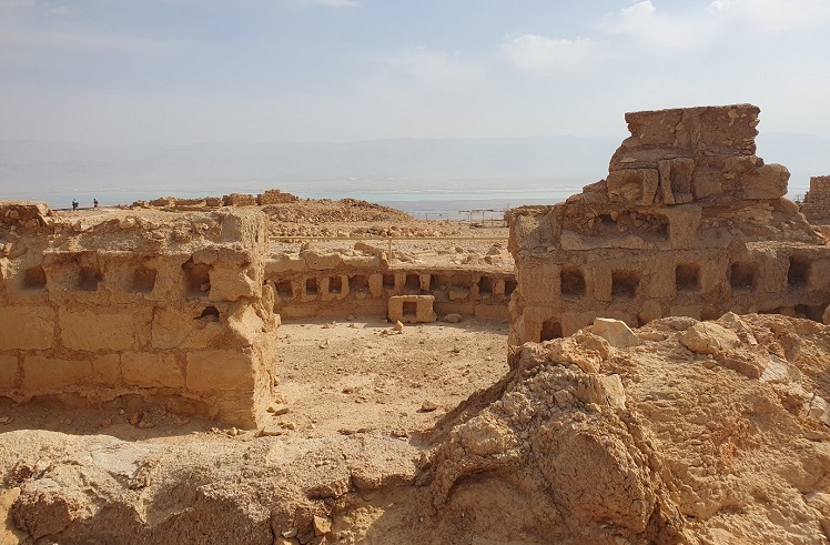 הקולומבריום, צילום: יעל רגב