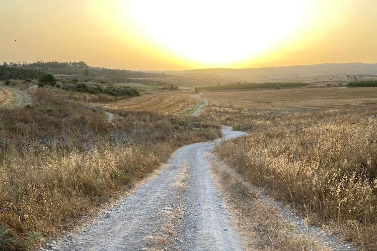 הגבורה בתש"ח והיום | גיליון 18