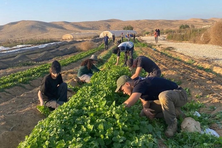 צילום: דוברות ארגון השומר החדש