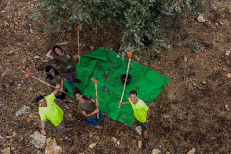 המסיק צילום: דוברות השומר החדש