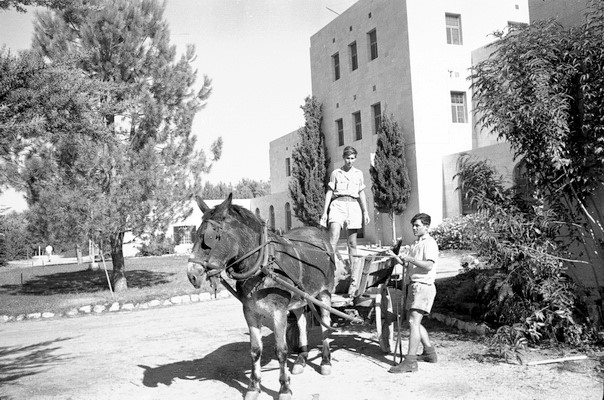 תלמידי מחזור טז בחזית הבנין המרכזי 1951, צילום: נפתלי אופנהיים