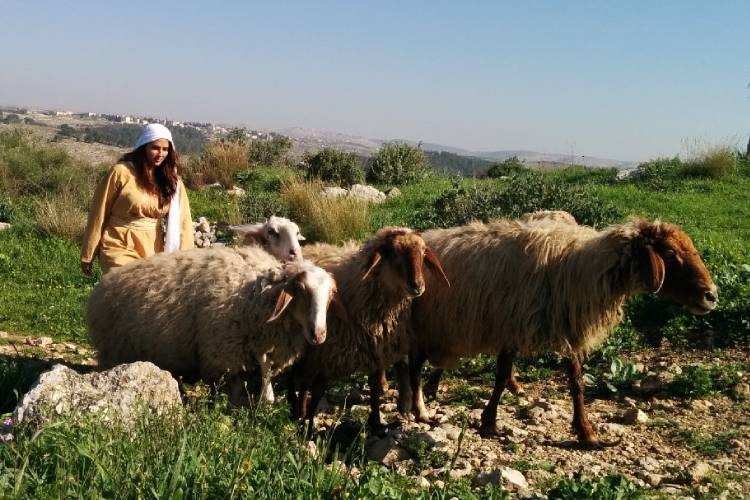 רעיית העדרים, אחת המשימות שהאישה הייתה אמונה עליהן בתקופה הקדומה, צילום: צוות פארק נאות קדומים