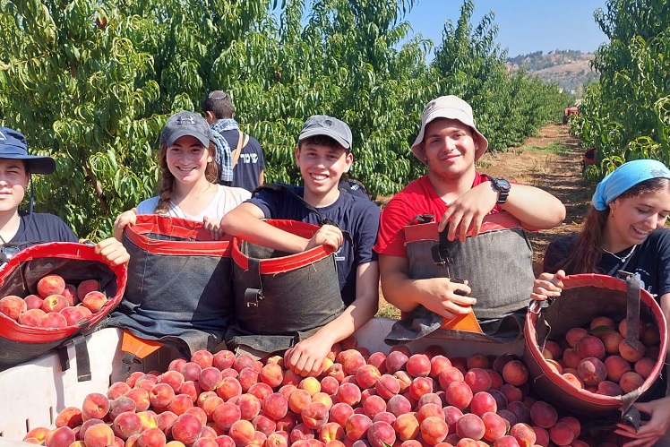 צילום: דוברות ארגון השומר החדש