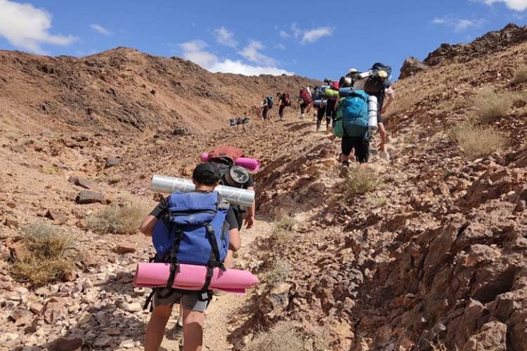 צילום: ניר מועלם ונריה ניסים, מורי השל"ח