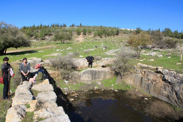 בריכת החורף בבקעת הנזירים, יער בן שמן, צילום: יעקב שקולניק