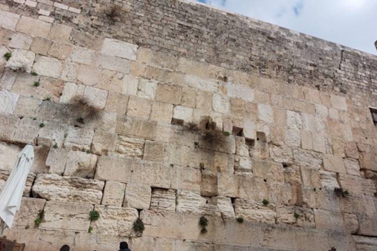 הכותל המערבי בירושלים, 2022 (הצילום: אזדה קבוש)